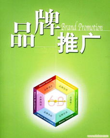 黑蜘蛛插秧機量身定方案 解決品牌捉襟見肘現狀