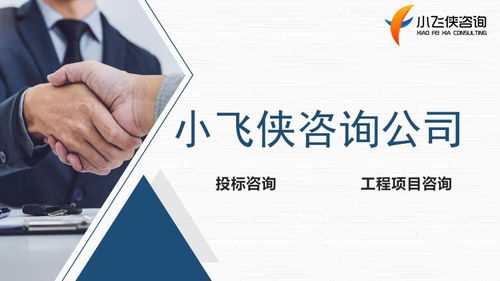 樂山編寫標書,樂山電子標制作