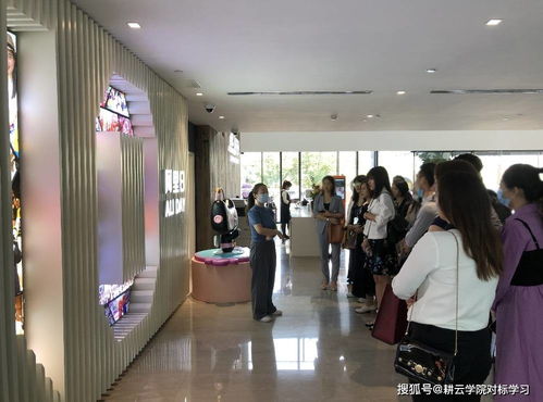 廣州某企業(yè)管理咨詢公司對(duì)標(biāo)阿里巴巴,學(xué)習(xí)如何打造一支銷售鐵軍