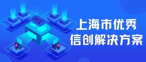 上海互聯(lián)網(wǎng)軟件集團(tuán) 高端協(xié)同管理軟件產(chǎn)品和咨詢服務(wù)提供商