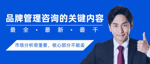 品牌管理咨詢的關(guān)鍵內(nèi)容,目標(biāo)市場(chǎng)分析很重要,核心部分不能丟